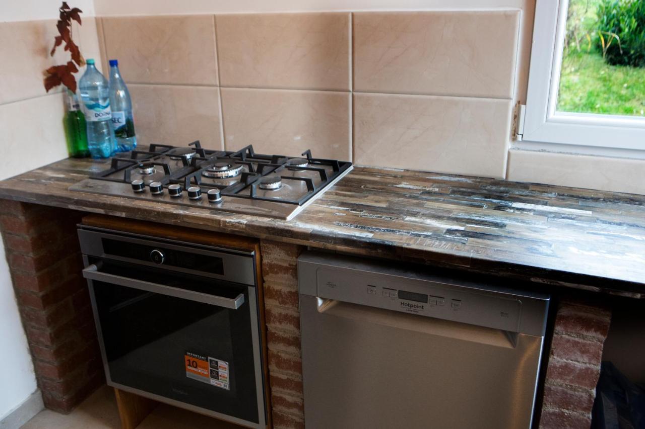 Casa Cu Magnolii Ξενοδοχείο Poienile Izei Εξωτερικό φωτογραφία