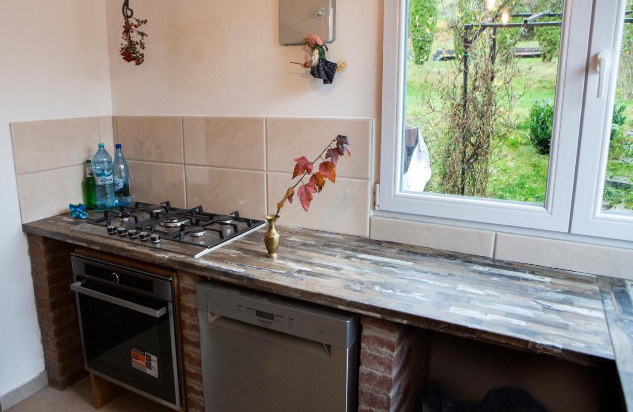 Casa Cu Magnolii Ξενοδοχείο Poienile Izei Εξωτερικό φωτογραφία