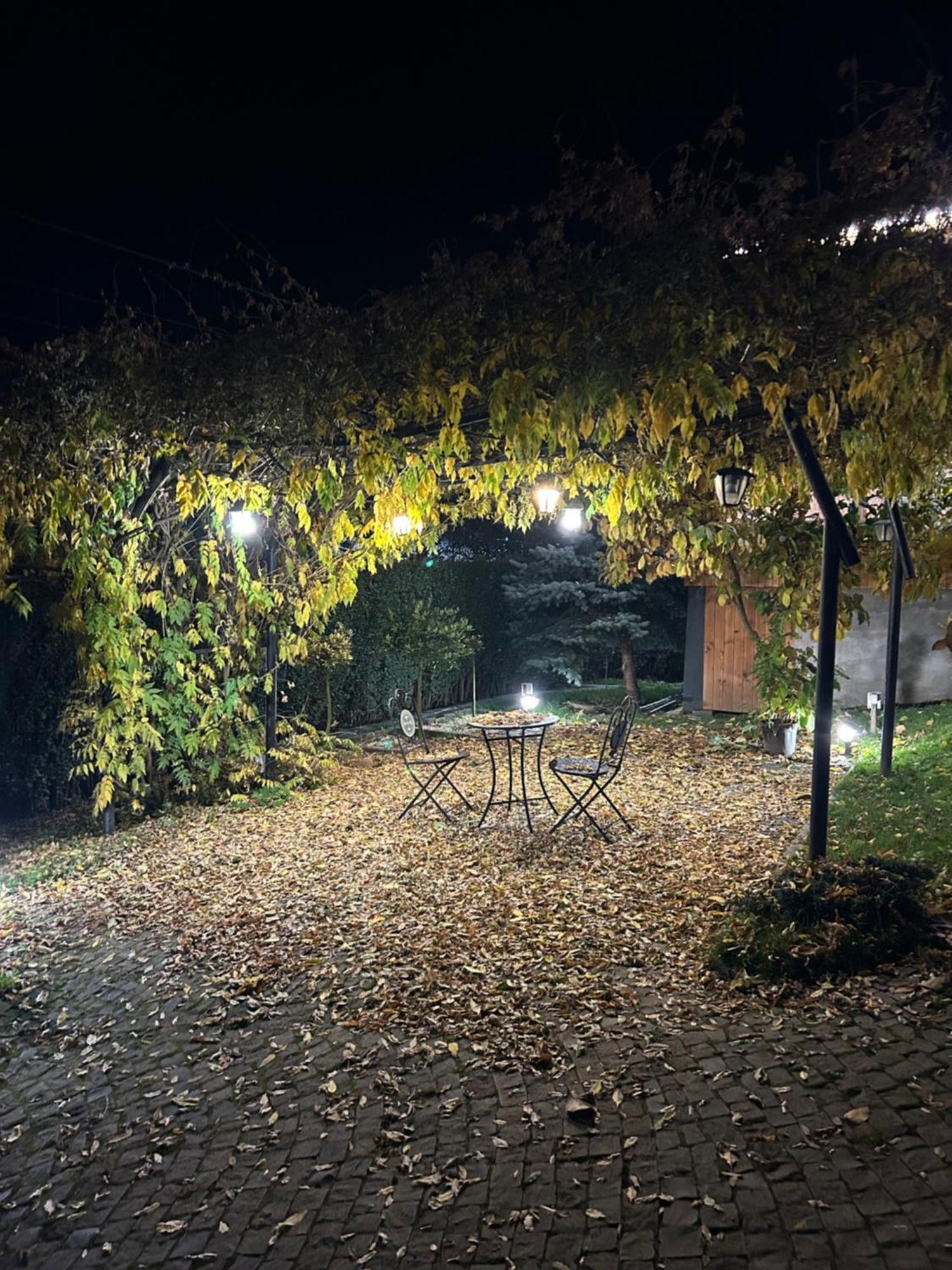 Casa Cu Magnolii Ξενοδοχείο Poienile Izei Εξωτερικό φωτογραφία