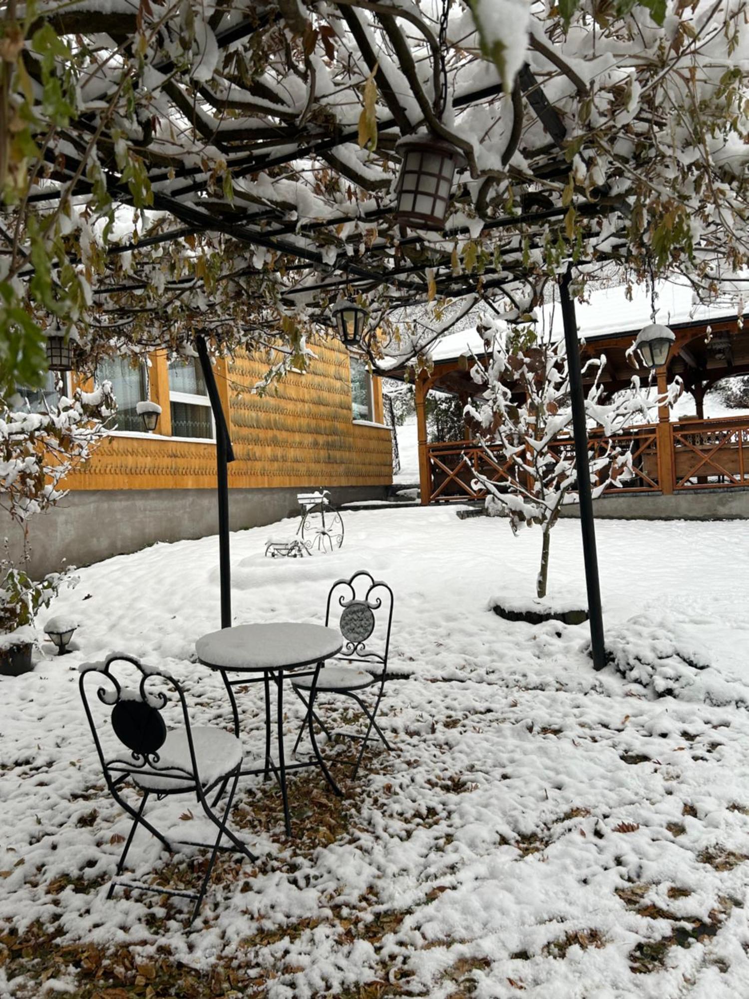 Casa Cu Magnolii Ξενοδοχείο Poienile Izei Εξωτερικό φωτογραφία